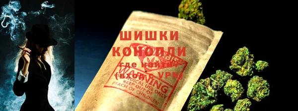гашик Ельня