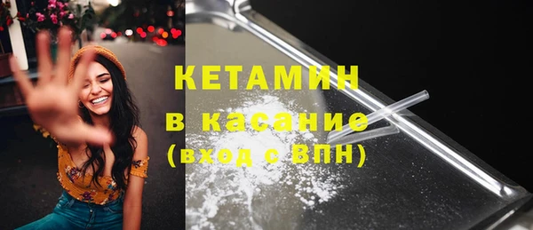гашик Ельня