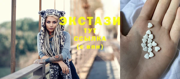 гашик Ельня
