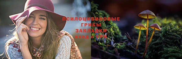 метамфетамин Елизово