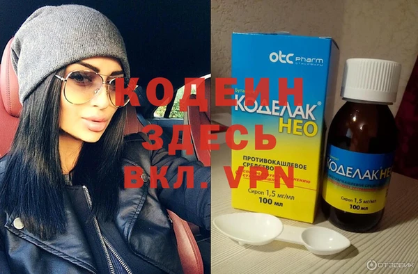 гашик Ельня