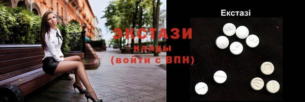 гашик Ельня