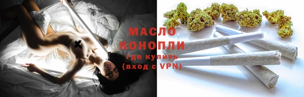 гашик Ельня