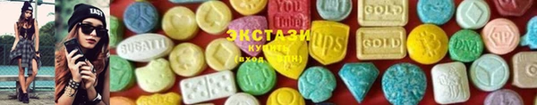 гашик Ельня