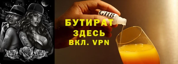 гашик Ельня
