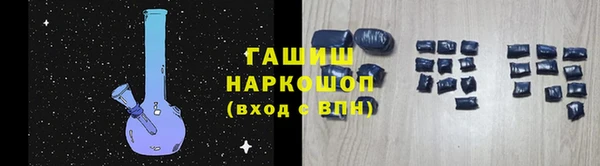 гашик Ельня