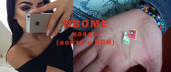 гашик Ельня