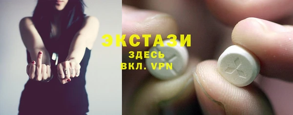 гашик Ельня