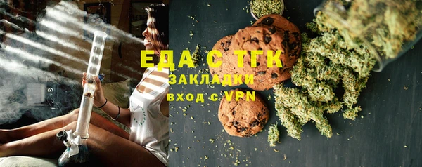 гашик Ельня