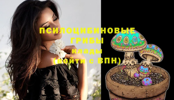 гашик Ельня