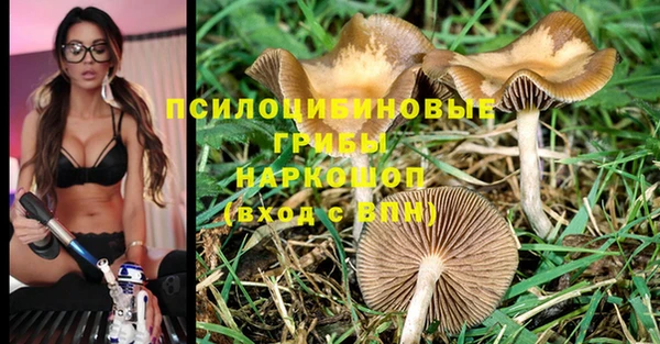 гашик Ельня