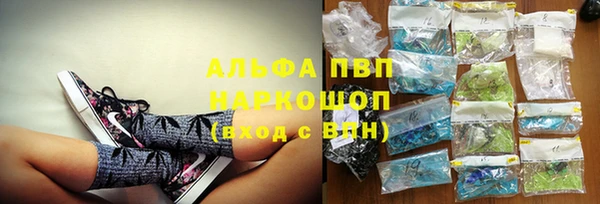 гашик Ельня