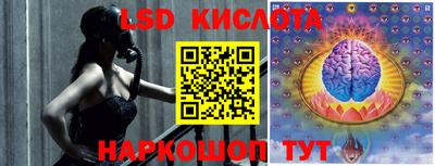 стаф Сланцы