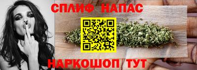 стаф Сланцы