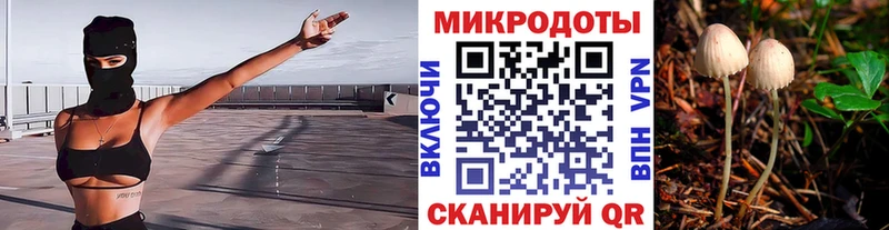 Купить закладки  Стерлитамак  Галлюциногенные грибы Psilocybe 