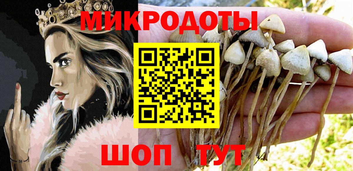 Псилоцибиновые грибы ЛСД  Стерлитамак 