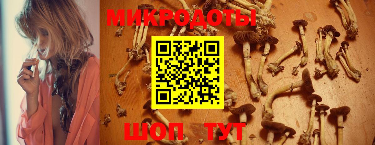 Стерлитамак  Галлюциногенные грибы Psilocybine cubensis  Вход с VPN 