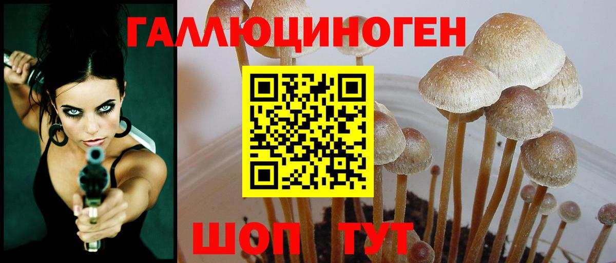 Псилоцибиновые грибы Cubensis Стерлитамак